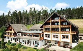 Auerhahn Bed And Breakfast - Black Forest - Waldhotel
